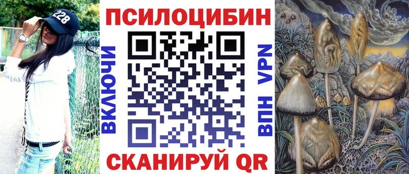 Галлюциногенные грибы Psilocybine cubensis  Троицк 